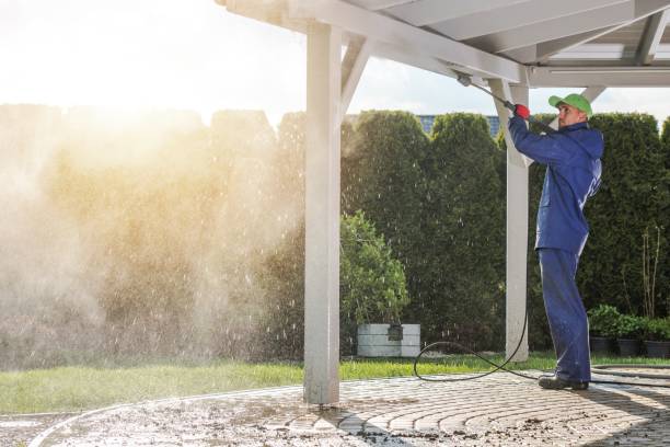 Best Soft Washing  in Westminster, TX